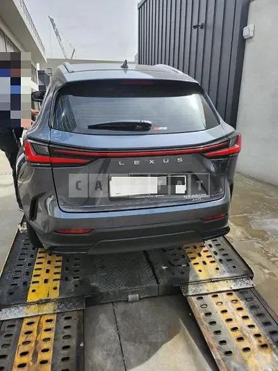 2023 Lexus NX450h+