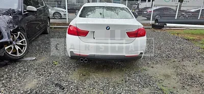 Photo 1 of 8: 2019 BMW 420i Coupe M Sport Package — Korean insurance auction