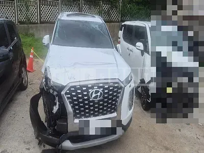 Photo 1 of 39: 2019 Hyundai Palisade 2.2 (4WD) — Korean insurance auction