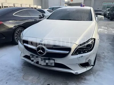 Photo 1 of 15: 2015 Mercedes-Benz CLS250 BlueTec 4Matic — Korean insurance auction
