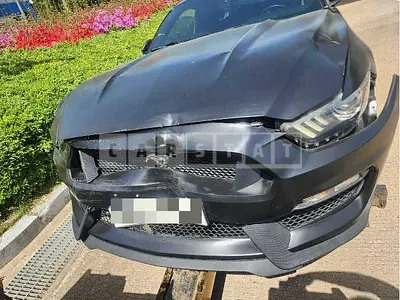 Photo 1 of 19: 2016 Ford Mustang 2.3 Coupe — Korean insurance auction
