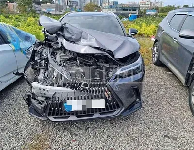 Photo 1 of 15: 2023 Lexus NX350h — Korean insurance auction