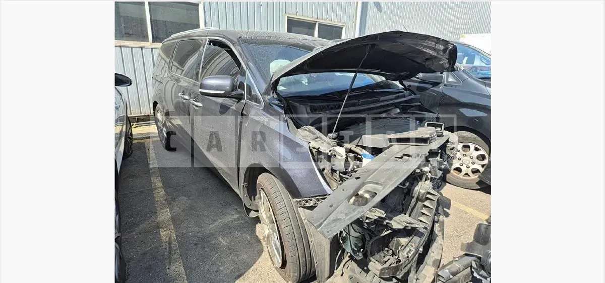 Photo 2 of 15: 2019 Kia Carnivals — Korean insurance auction