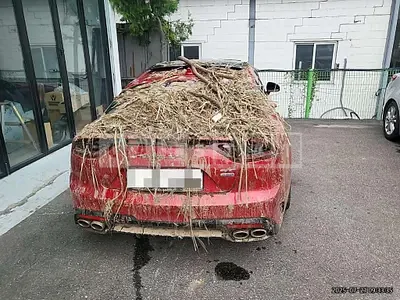 Photo 1 of 9: 2018 Kia Stinger 3.3 AWD — Korean insurance auction