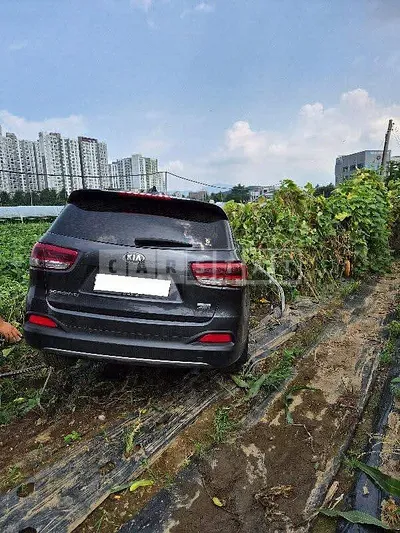 Photo 1 of 26: 2017 Kia Sorento, VIN KNAPK81BDHA355619 — Korean insurance auction
