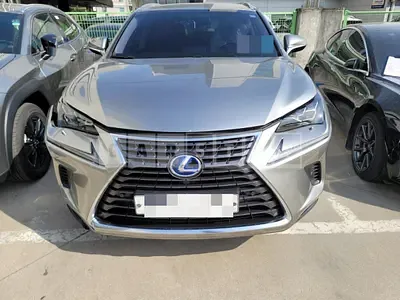 Photo 1 of 62: 2017 Lexus NX300h, VIN JTJBJRBZ4J2079570 — Korean insurance auction