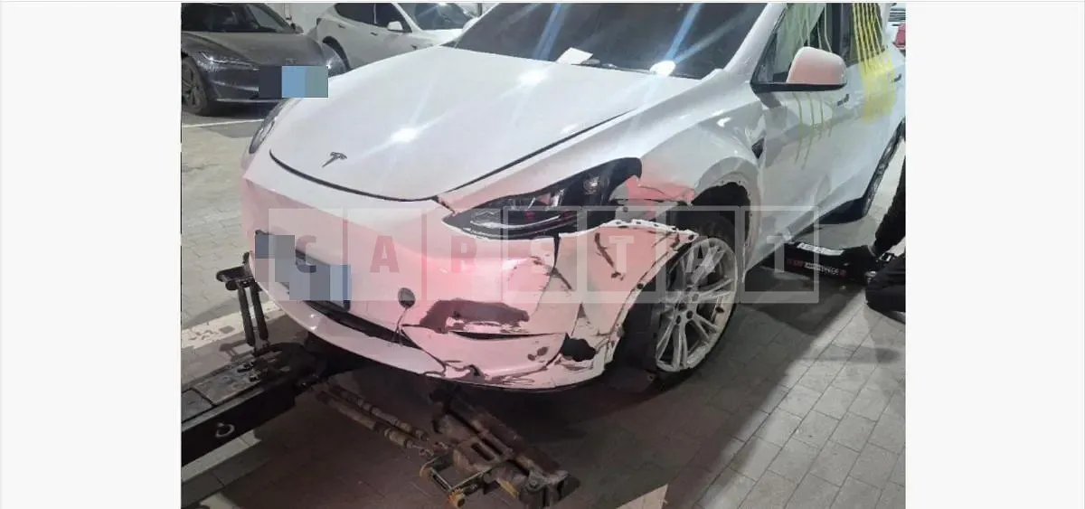 Photo 2 of 26: 2023 Tesla Model Y RWD — Korean insurance auction