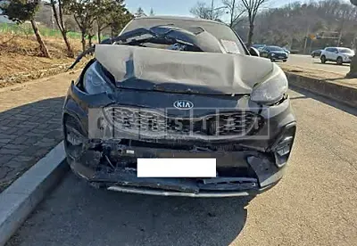 Photo 1 of 11: 2019 Kia Sportage — Korean insurance auction