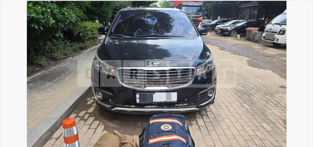 Photo 2 of 22: 2016 Kia Carnival Limousine — Korean insurance auction