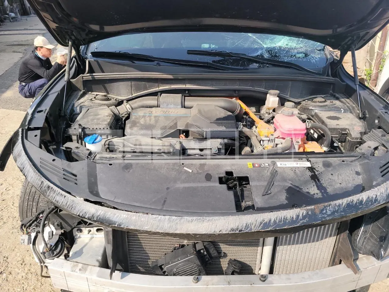 Photo 2 of 32: 2021 Kia Sorento Hybrid, VIN KNARH81GDNA084168 — Korean insurance auction