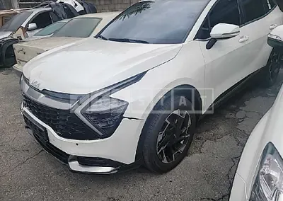 Photo 1 of 18: 2022 Kia Sportage, VIN KNAPW81CBNK007009 — Korean insurance auction