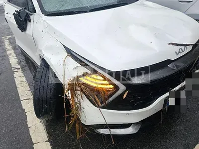Photo 1 of 14: 2022 Kia Sportage 1.6 4WD, VIN KNAPV81BHPK111246 — Korean insurance auction