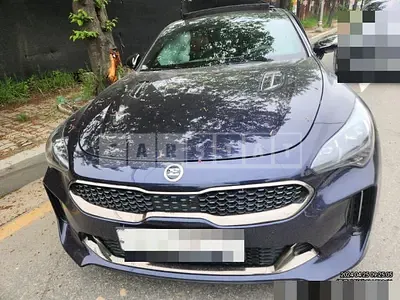 Photo 1 of 27: 2018 Kia Stinger 3.3 — Korean insurance auction