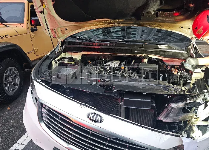 Photo 2 of 14: 2018 Kia Carnival — Korean insurance auction