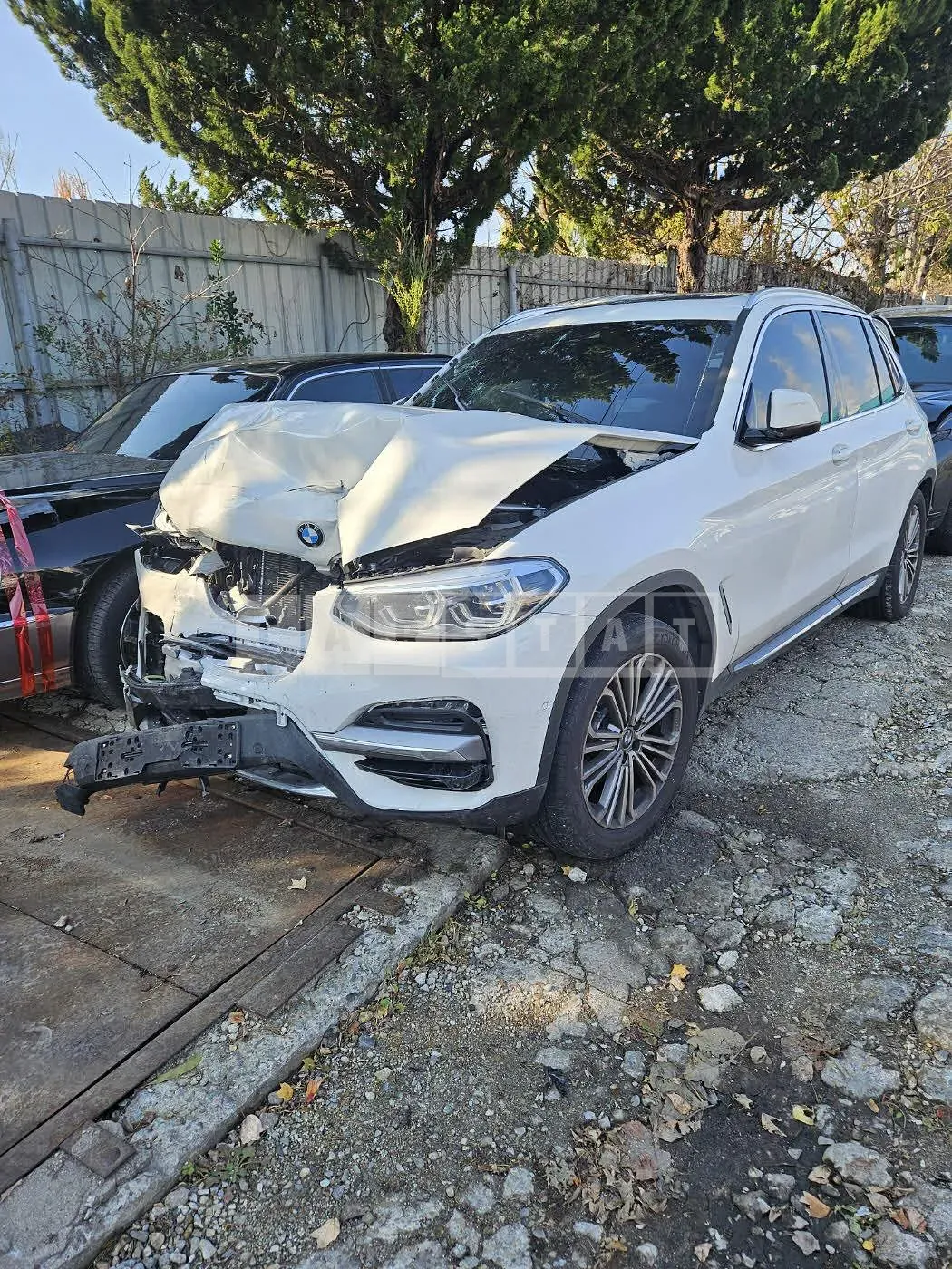 Photo 2 of 27: 2021 BMW X3 xDrive20i, VIN WBA51BG04MPG26463 — Korean insurance auction