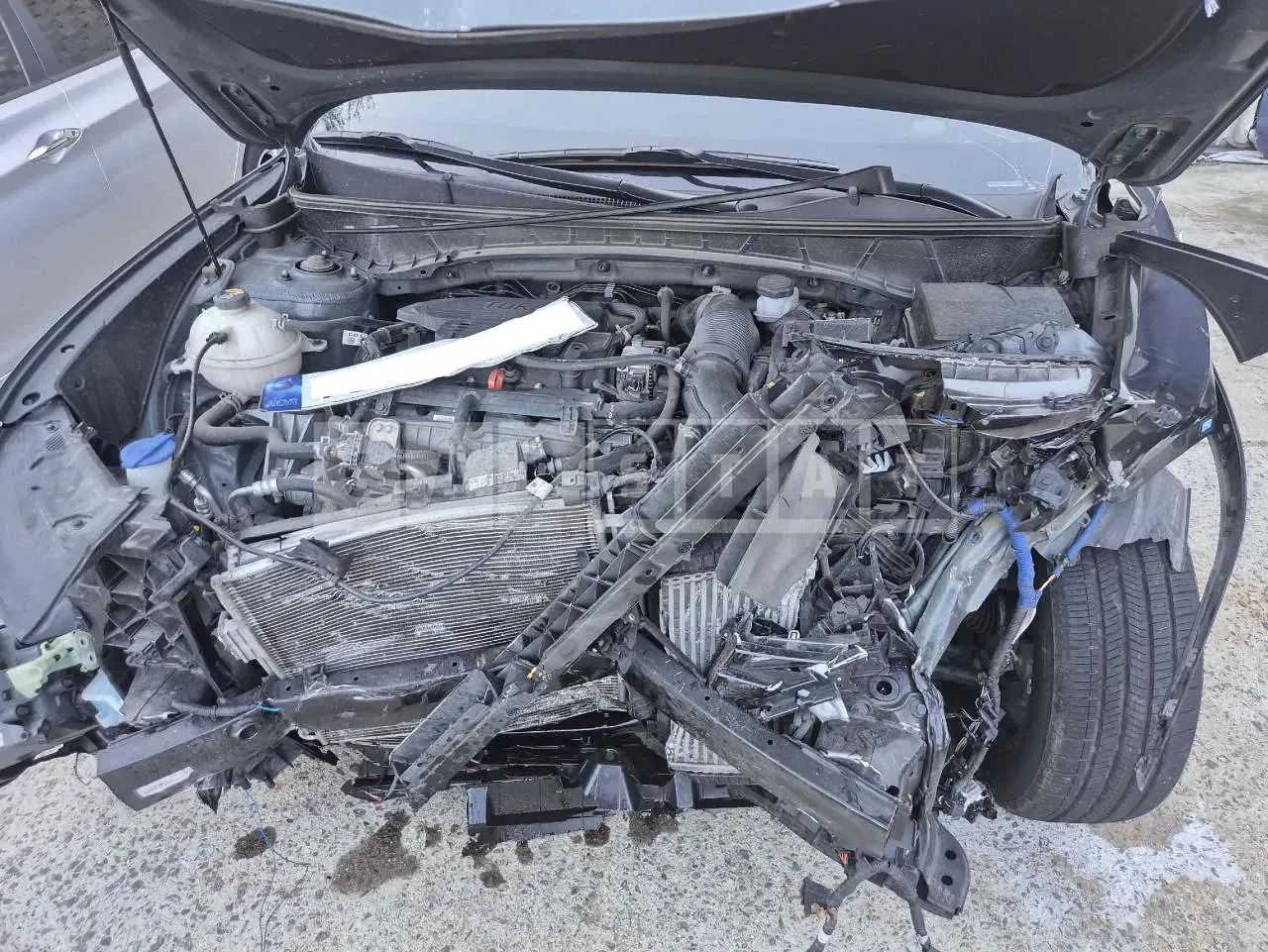 Photo 2 of 24: 2023 Hyundai Tucson, VIN KMHJC81BGPU223638 — Korean insurance auction