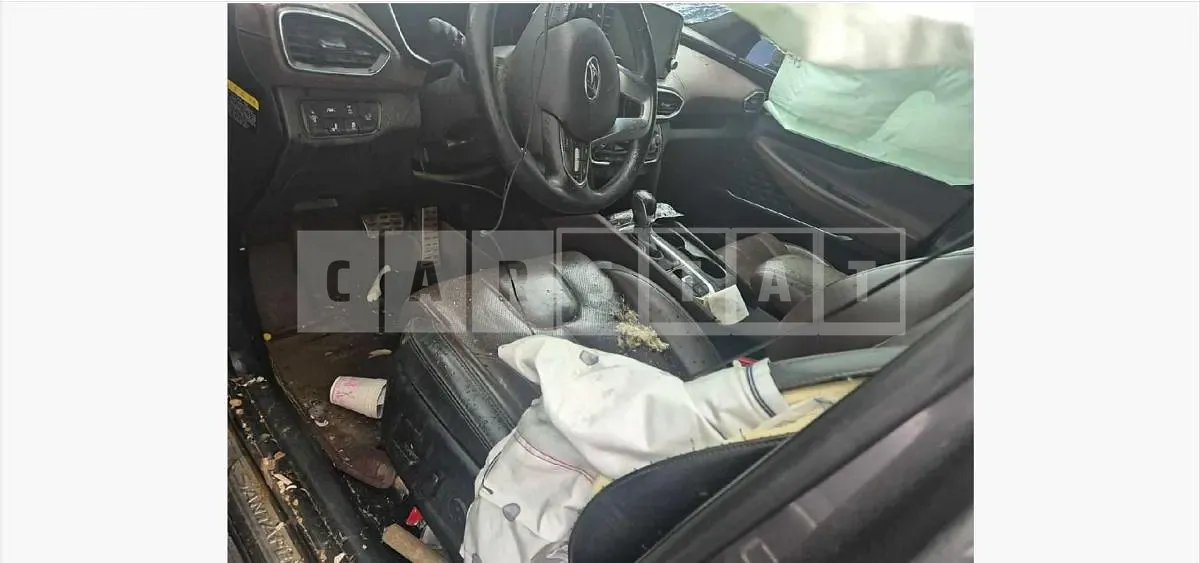 Photo 2 of 11: 2019 Hyundai Santa Fe TM Diesel 2.2 4WD — Korean insurance auction