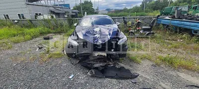 2019 Stinger stinger