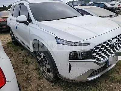 Photo 1 of 10: 2020 Hyundai Calm Santa Fe 2.2 — Korean insurance auction