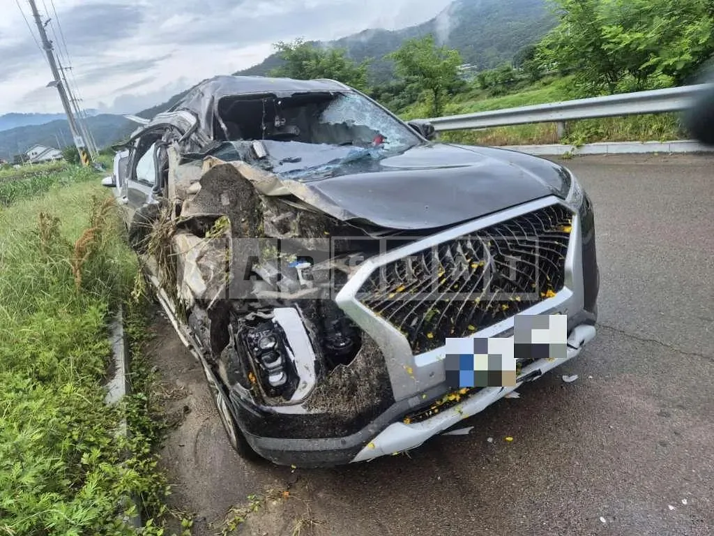 Photo 2 of 12: 2020 Hyundai Palisade Diesel — Korean insurance auction