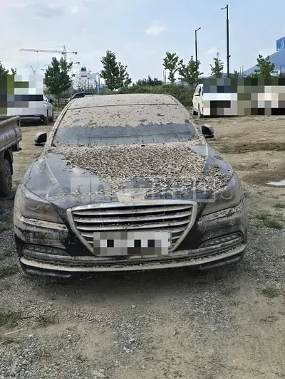 Photo 1 of 6: 2015 Genesis 3.3 — Korean insurance auction