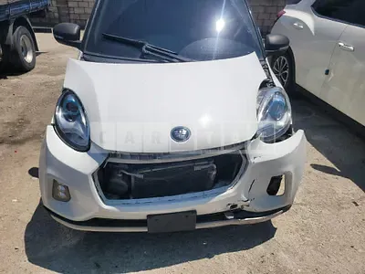 2021 semisisco /smart ev z