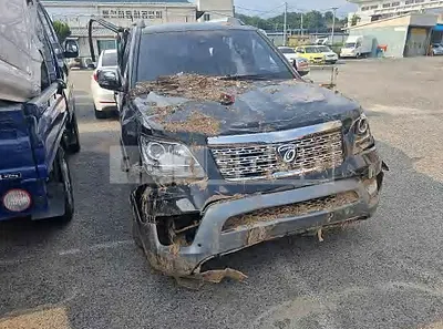 Photo 1 of 19: 2019 Kia Mojave, VIN KNAKN814DKA192057 — Korean insurance auction