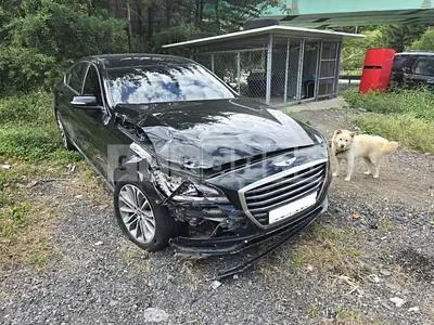 Photo 1 of 14: 2016 Hyundai Genesis G80, VIN KMHGL41DBHU179625 — Korean insurance auction