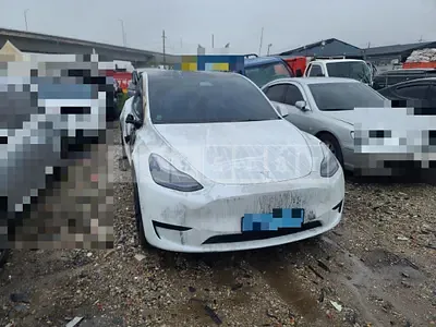 Photo 1 of 10: 2024 Tesla Model Y RWD — Korean insurance auction