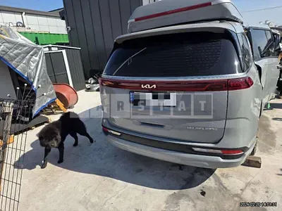 Photo 1 of 14: 2023 Kia Carnivals — Korean insurance auction