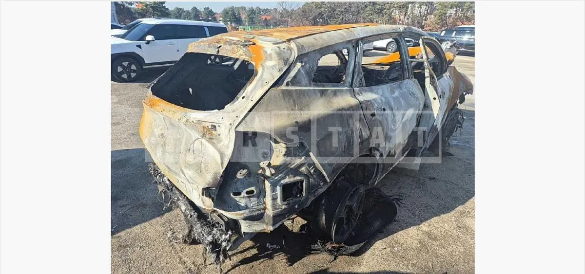 Photo 2 of 10: 2024 Kia Sportage LPG — Korean insurance auction