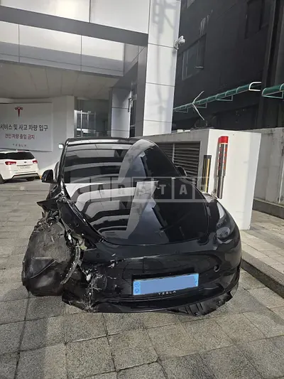 2023 Tesla Model Y RWD