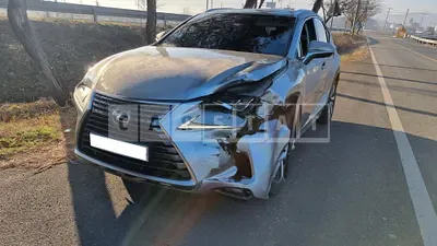 Photo 1 of 30: 2019 Lexus NX300h, VIN JTJDJRDZ5L2128686 — Korean insurance auction
