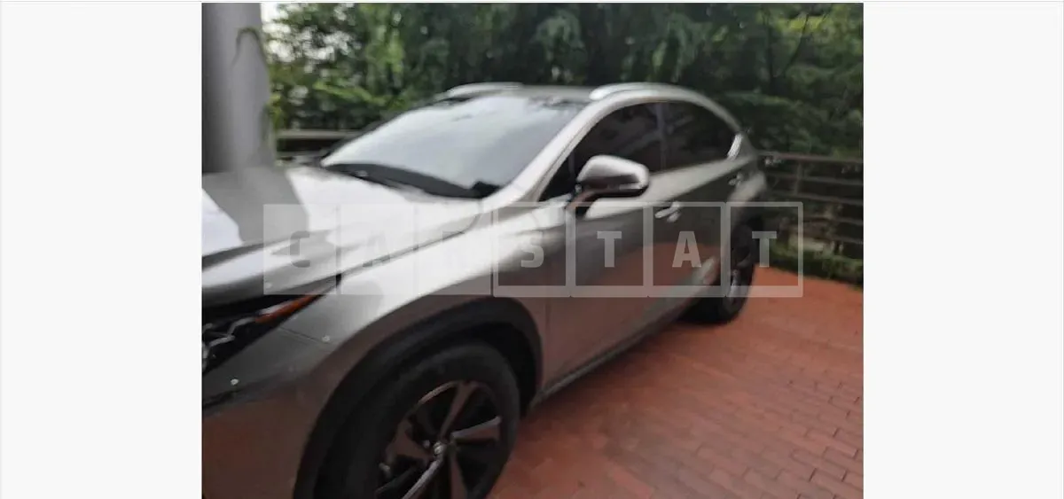 Photo 2 of 19: 2018 Lexus NX300h — Korean insurance auction