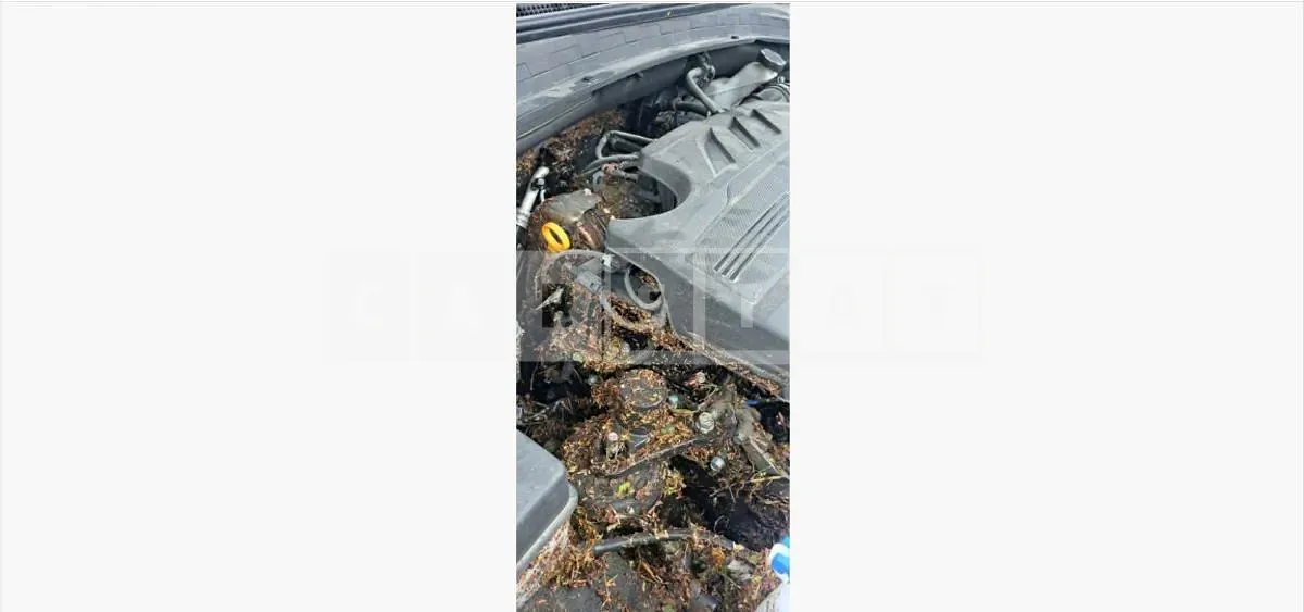 Photo 2 of 9: 2018 Hyundai Santa Fe TM — Korean insurance auction