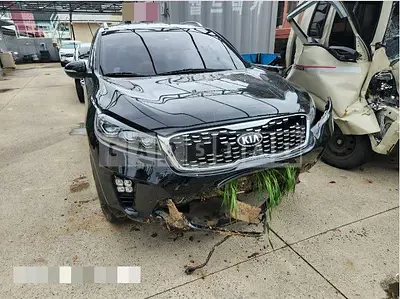 Photo 1 of 18: 2018 Kia Sorento 2.0 — Korean insurance auction