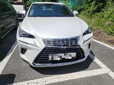 Photo 1 of 29: 2021 Lexus NX300h — Korean insurance auction