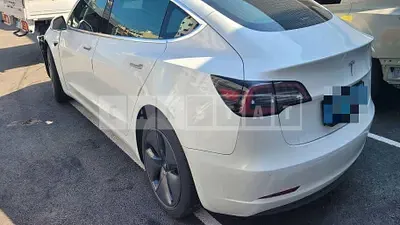 Photo 1 of 31: 2019 Tesla Model 3 Standard Range Plus R, VIN 5YJ3E1EA4LF584771 — Korean insurance auction