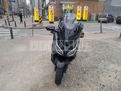 Photo 1 of 10: 2024 Honda Motorcycle Forza 350 — Korean insurance auction