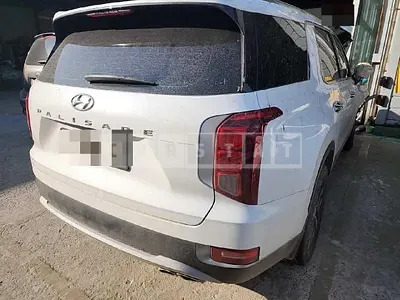 Photo 1 of 14: 2019 Hyundai Palisade 2.2, VIN KMHR281ABLU109300 — Korean insurance auction