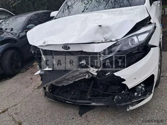 Photo 2 of 8: 2018 Kia Carnival — Korean insurance auction