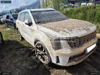 2026 Sorento Sorento