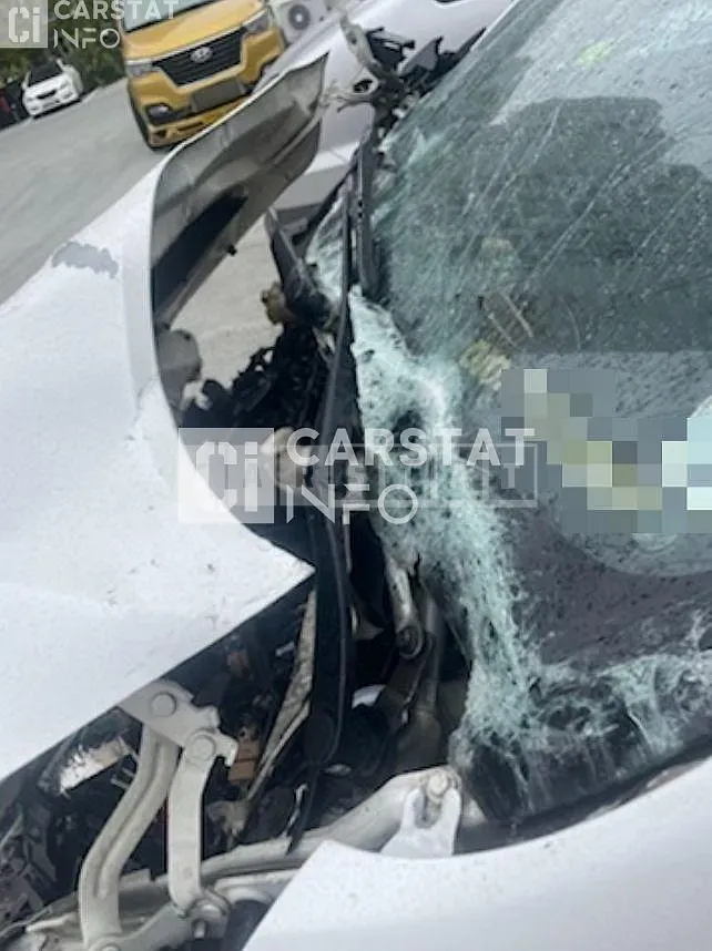 Photo 2 of 6: 2015 Kia Carnival 9 -Seater — Korean insurance auction