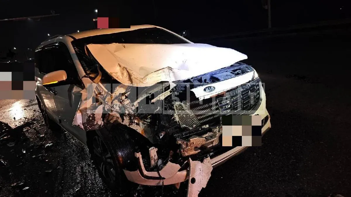Photo 2 of 24: 2019 Kia Carnivals, VIN KNAMB81ABKS575292 — Korean insurance auction