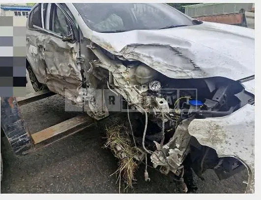 Photo 2 of 10: 2017 Kia Sportage — Korean insurance auction